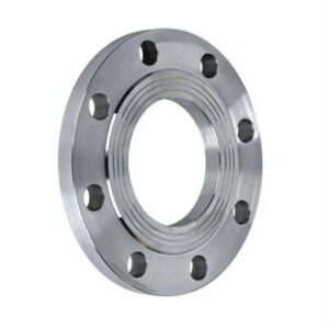 Optimal Strength, Maximum Reliability: Duplex Steel Blind Flanges