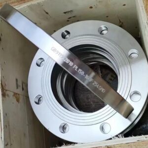 Precision Engineered Duplex Steel Blind Flanges: Quality Assurance