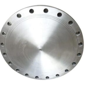 Stainless steel bronzed adapter, blind pressed socket, 12-inch forged fitting, SAE gasket, plastic flat flange.